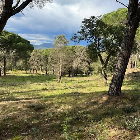 Mobil-home Parc Montana דירה *